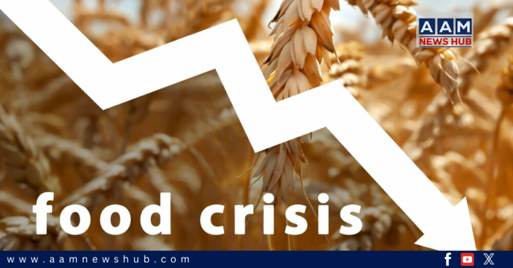 The Wheat Crisis