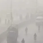 In The Fog, A Vehicle Hits With A Sugarcane Tractor Trolley - aamnewshub.com