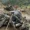 Indonesian Landslides Kill 21 as Rescuers Search for Survivors - AAMNEWSHUB.COM