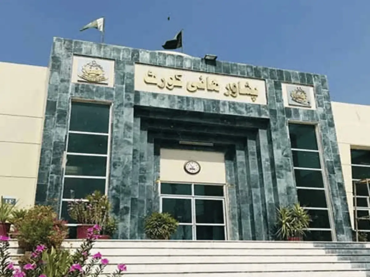 PHC Grants ECP 60 Days to Decide on Senate Elections - AAMNEWSHUB.COM