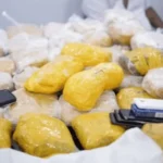 Sindh ASF Action Against Drugs - aamnewshub.com