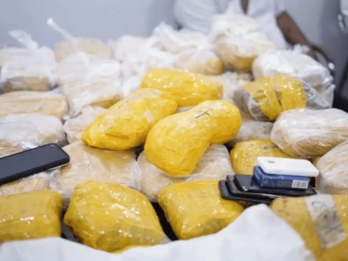 Sindh ASF Action Against Drugs - aamnewshub.com