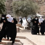 Arab Nations Urge US to Oppose Palestinian Evictions from Gaza