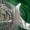 Pakistan's High-Stakes IMF Talks Key Issues and Economic Pressures - aamnewshub.com