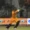 Babar Azam Criticizes Zalmi's Poor Execution Of Game Plans In PSL-10 - AAMNEWSHUB.COM