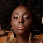 Ledisi's 'The Crown' A Soulful Ode To Love, Life, And Empowerment - AAMNEWSHUB.COM