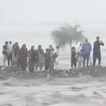 Cricket Players Demand Justice For Swat River Disaster Victims - AAMNEWSHUB.COM